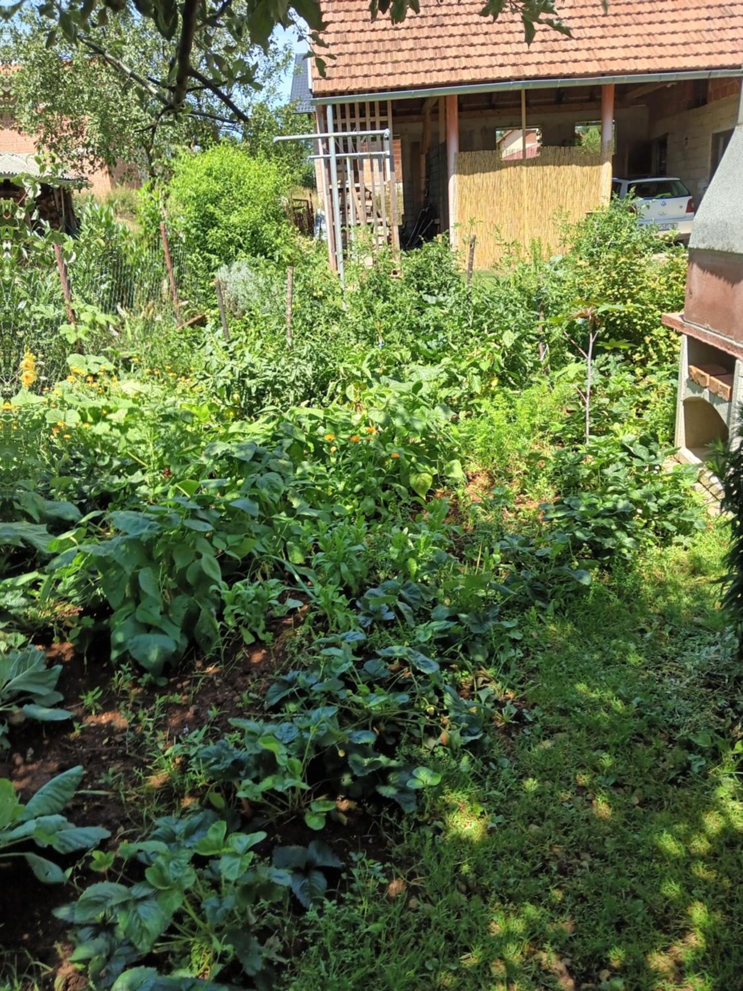 Apartman Pavelic Lovinac  Exterior photo